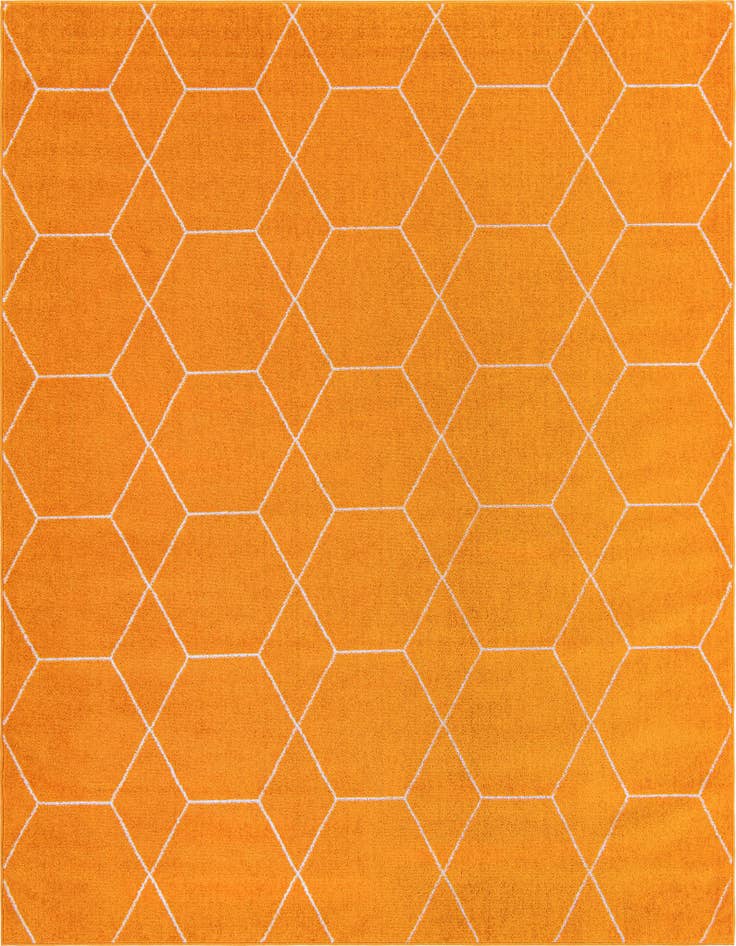 Detail image of  7' 10 x 10' Lattice Frieze Rug