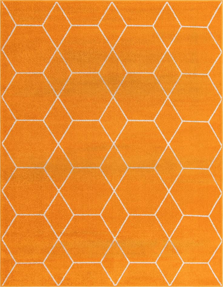 Detail image of  7' x 10' Lattice Frieze Rug