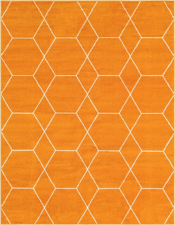 Detail image of  6' x 9' Lattice Frieze Rug