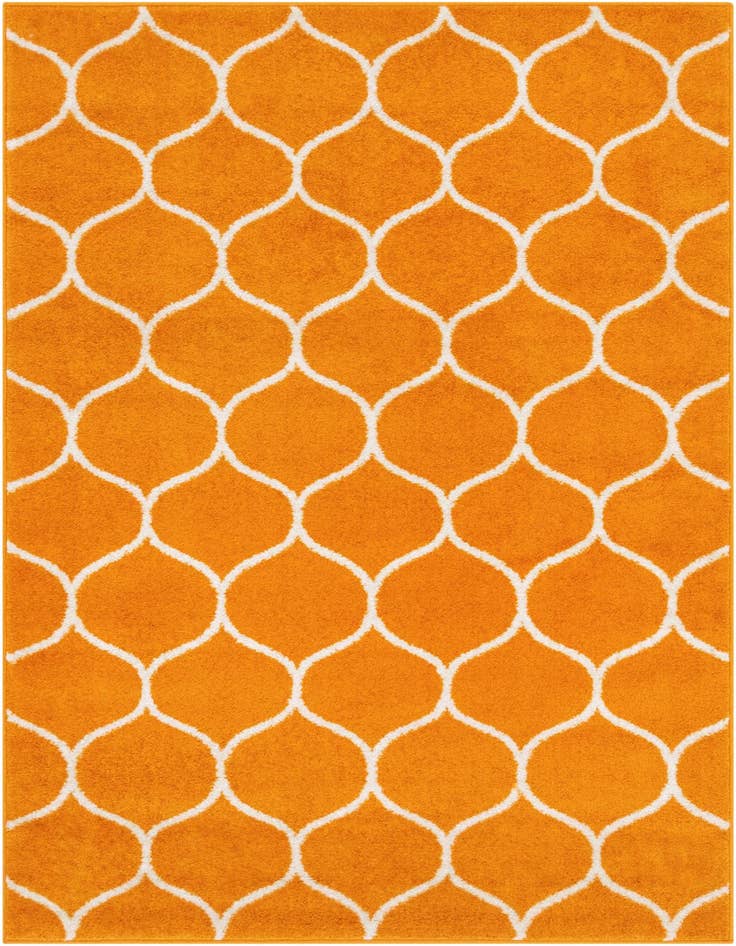 Detail image of  4' x 6' Lattice Frieze Rug