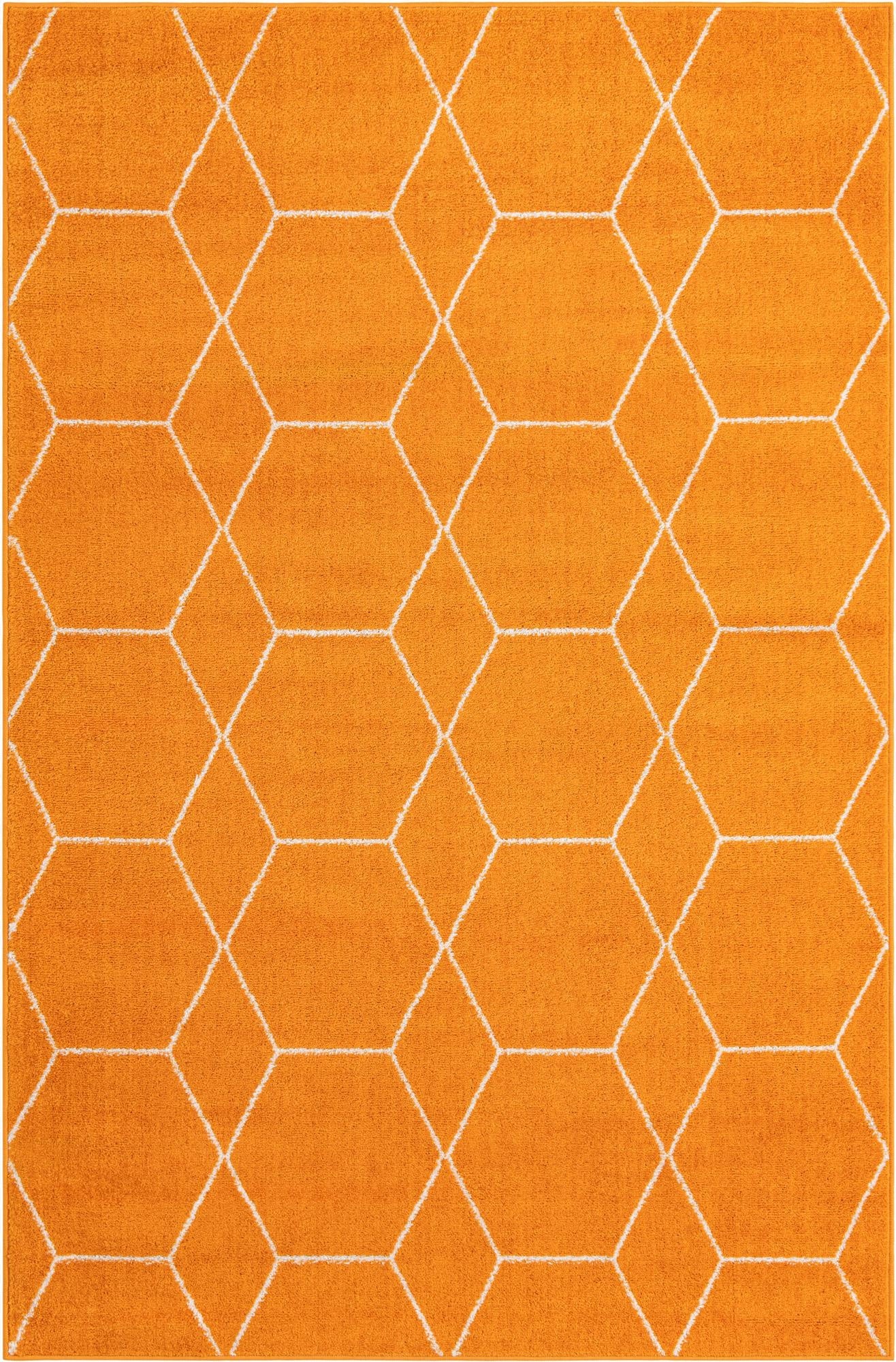  5' 3 x 8' Lattice Frieze Rug