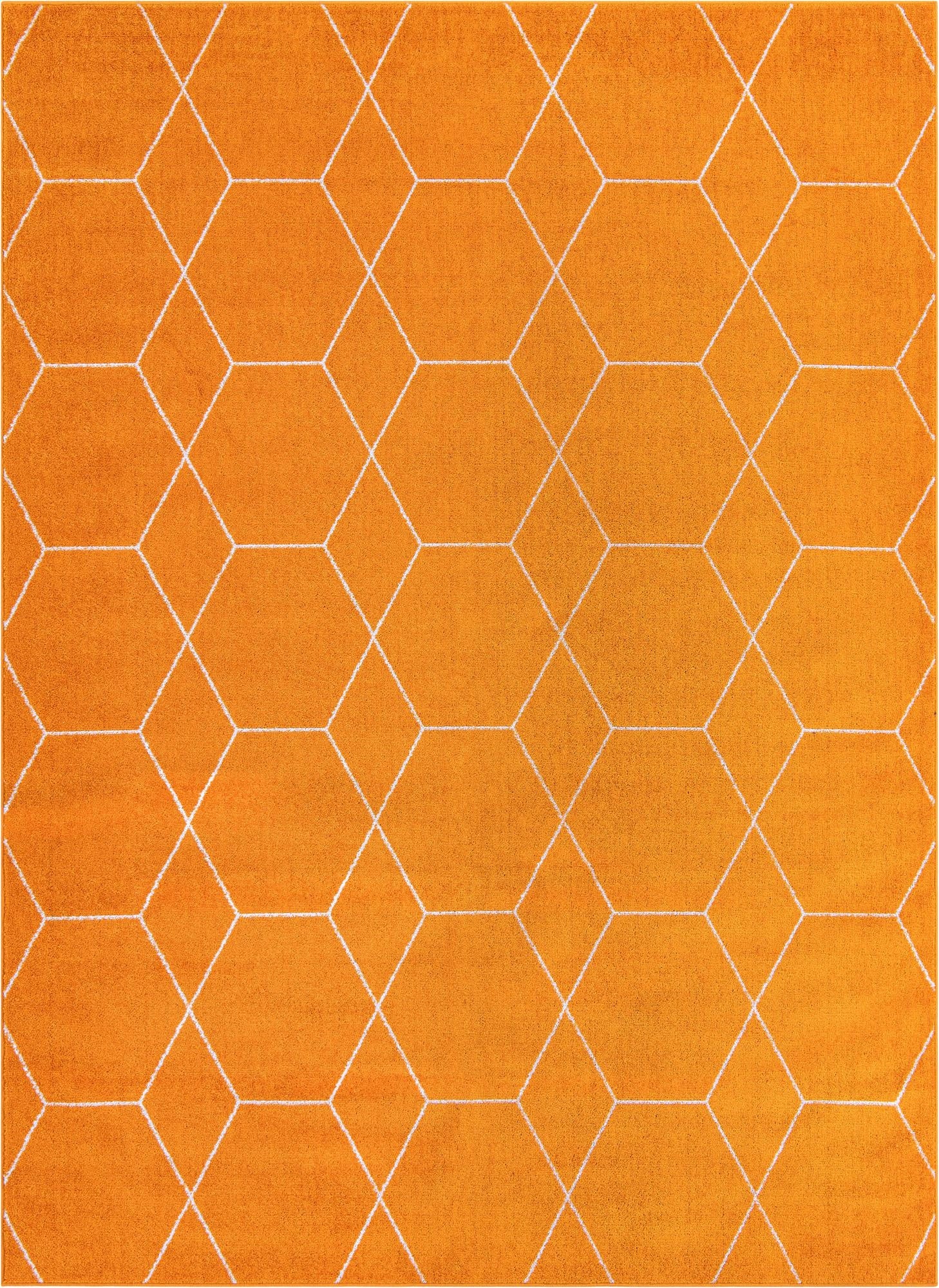  7' 10 x 11' Lattice Frieze Rug