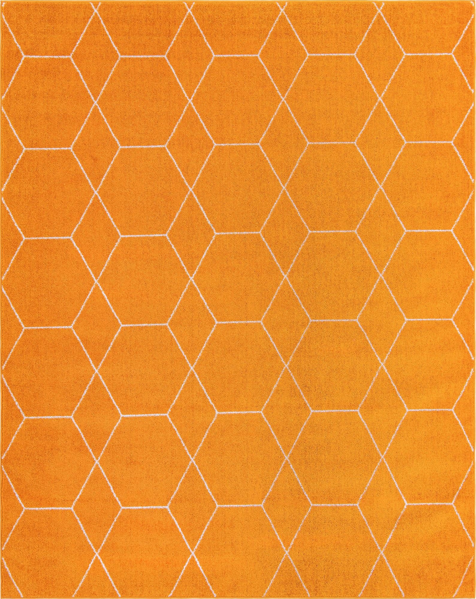  7' 10 x 10' Lattice Frieze Rug