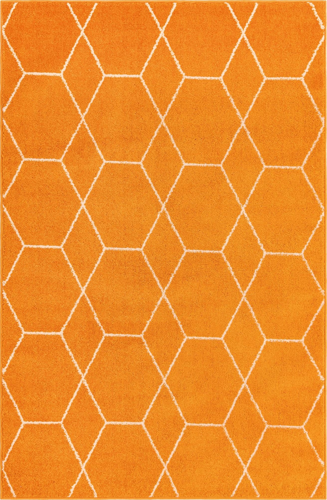  4' x 6' Lattice Frieze Rug