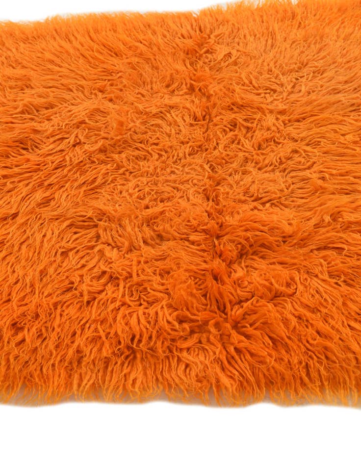 Detail image of  2' 8 x 4' 2  Hand Knotted Moroccan Wool Rug