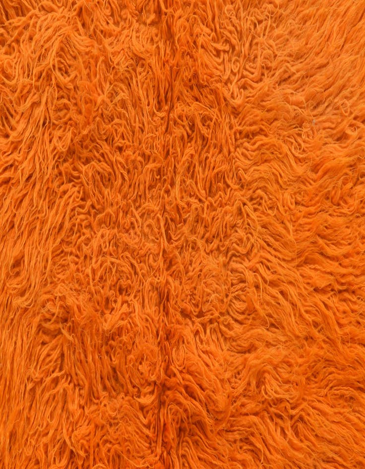 Detail image of  2' 8 x 4' 2  Hand Knotted Moroccan Wool Rug