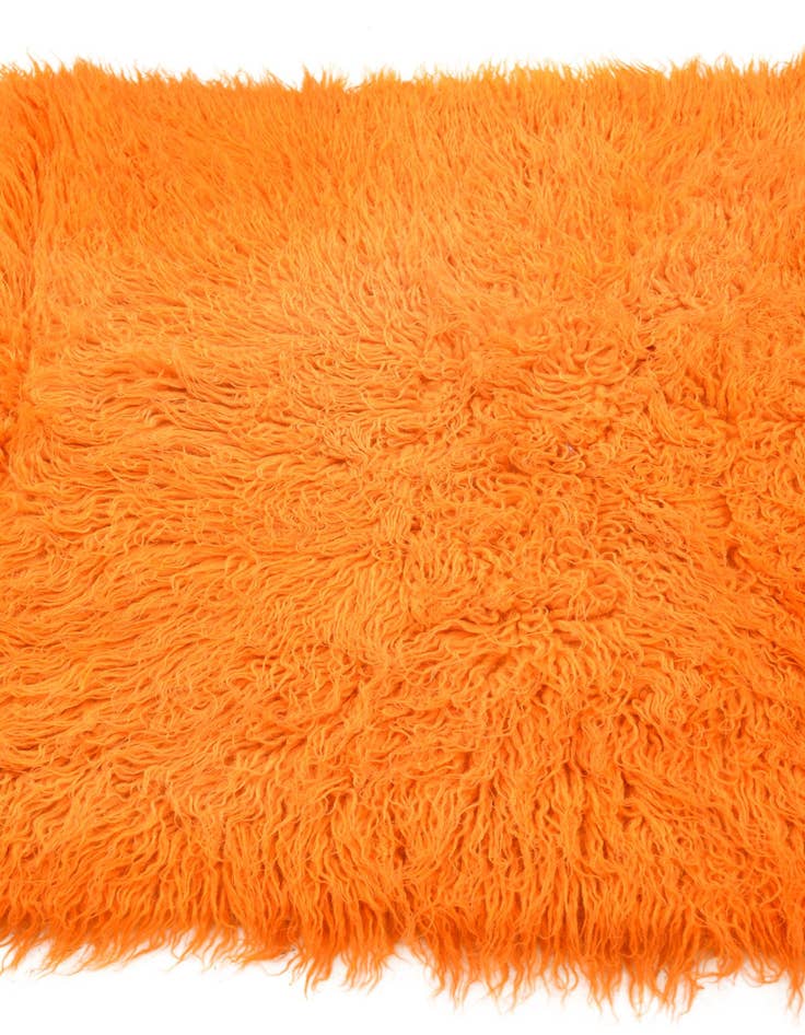 Detail image of  2' 9 x 5' 5  Hand Knotted Moroccan Wool Rug