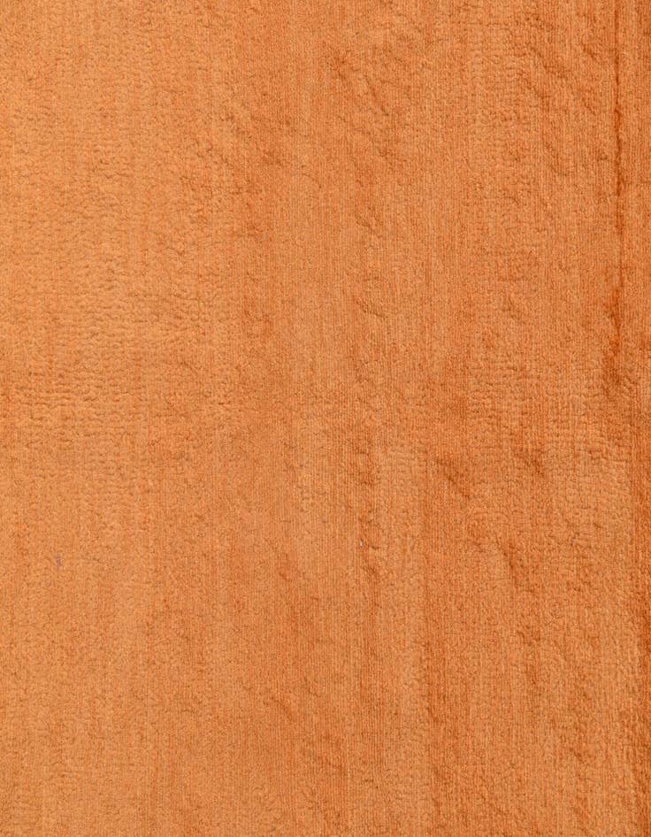 Detail image of  4' 1 x 5' 1  Hand Knotted Peshawar Ziegler Rug