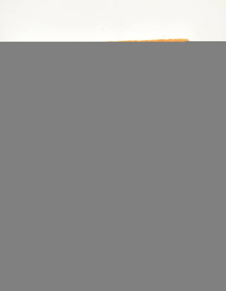 Detail image of  2' 4 x 4' 7  Hand Knotted Nepal Wool Runner Rug