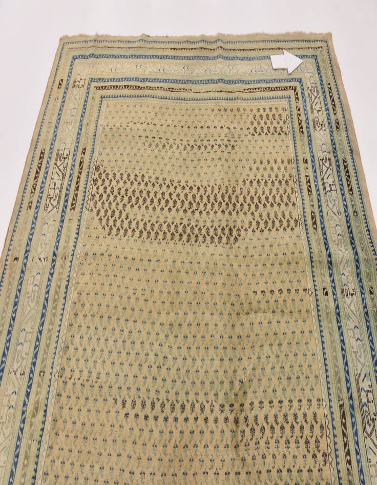 Detail image of  7' 5 x 10' 7  Hand Knotted Botemir Persian Wool Rug