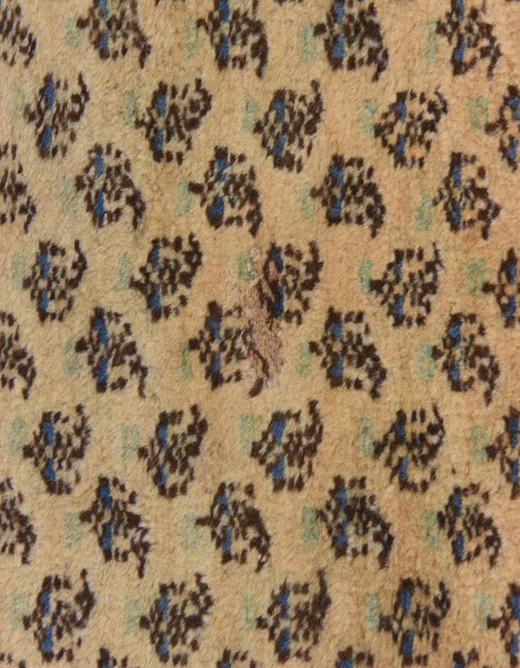 Detail image of  7' 5 x 10' 7  Hand Knotted Botemir Persian Wool Rug