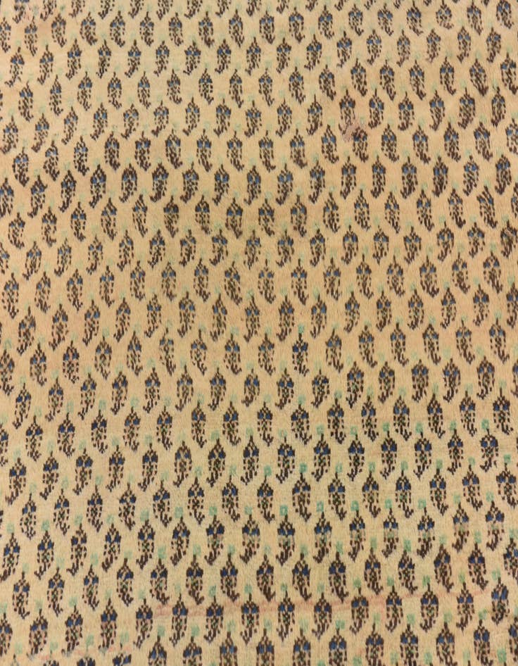 Detail image of  7' 5 x 10' 7  Hand Knotted Botemir Persian Wool Rug