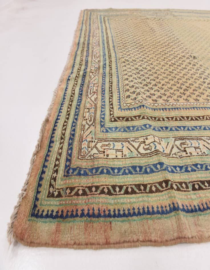 Detail image of  7' 5 x 10' 7  Hand Knotted Botemir Persian Wool Rug