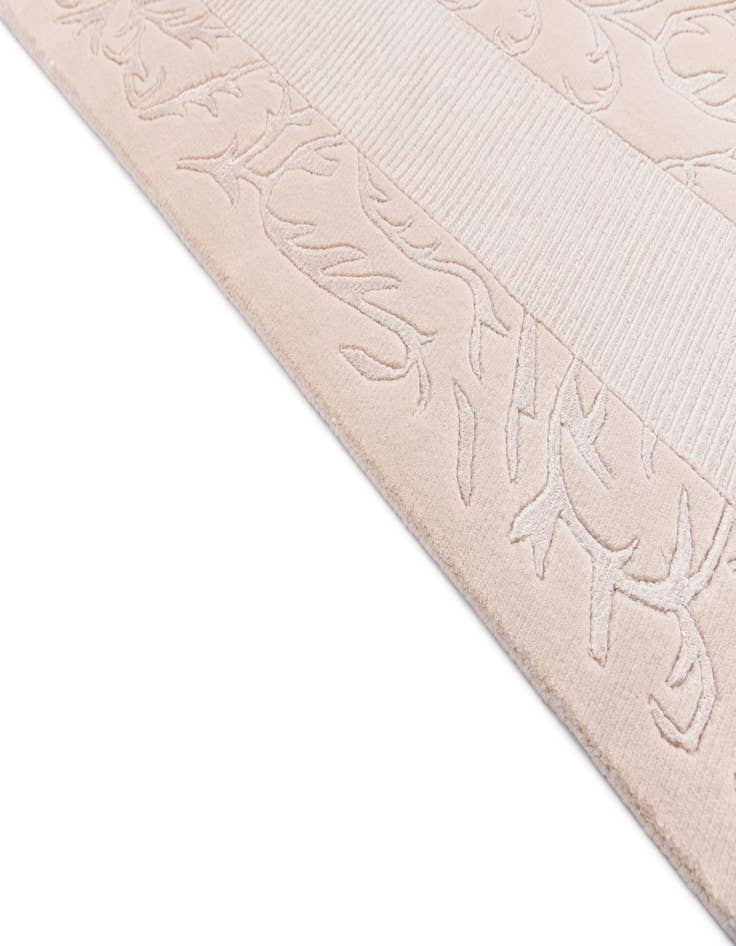 Detail image of  5' 7 x 7' 10  Hand Knotted Darya Wool Rug