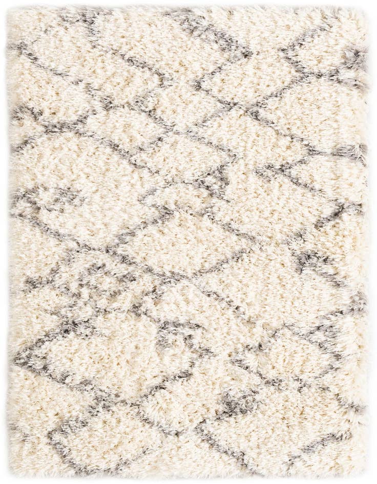 Detail image of  3' x 5' 3 Infinity Shag Rug