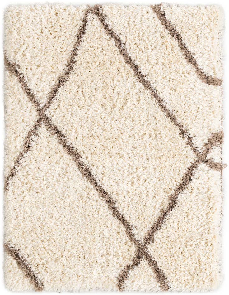 Detail image of  4' x 6' Infinity Shag Rug