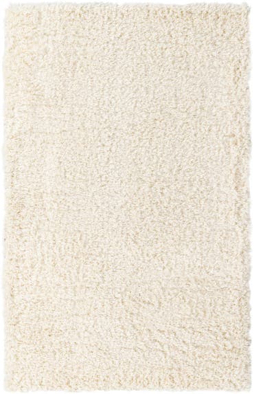  5' x 8' Infinity Shag Rug