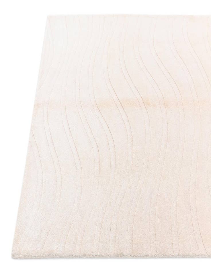 Detail image of  4' x 5' 11 Darya Rug