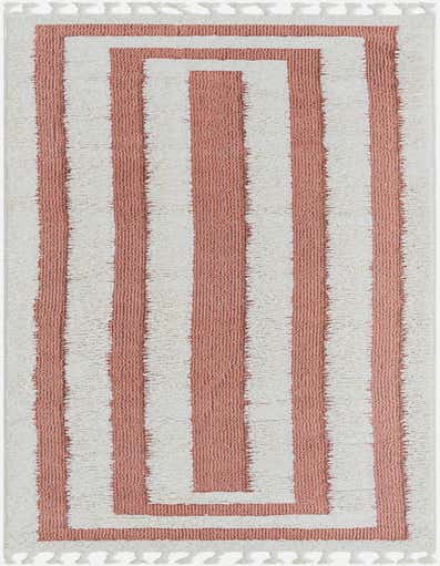 A 12 ft runner rug featuring a modern stripe pattern in pink and off-white, with tassels on the ends.