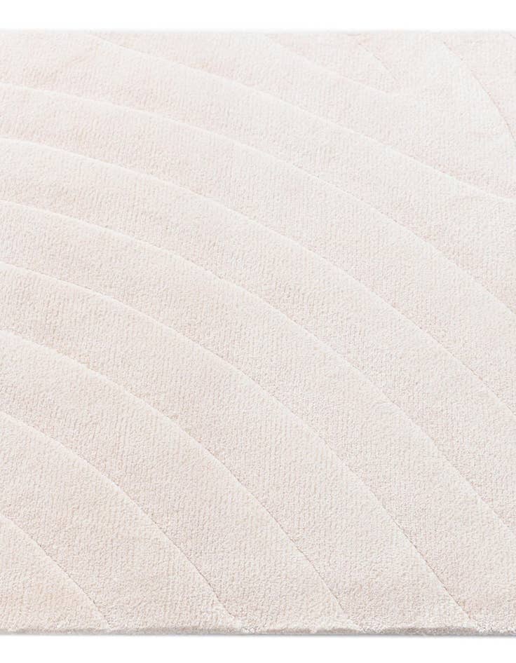 Detail image of  2' 7 x 12' 10 Darya Runner Rug