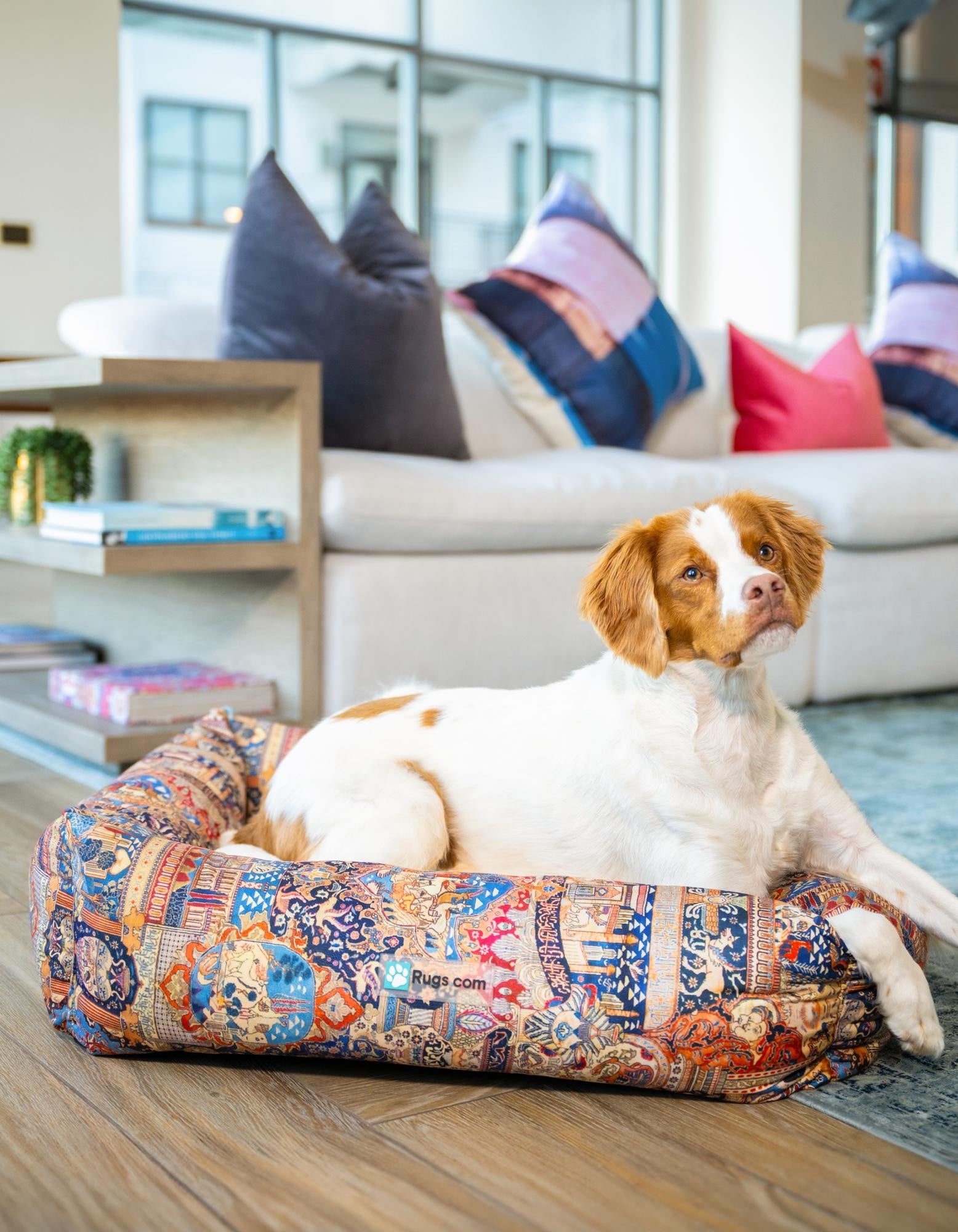  2' x 2' 4 Premium Pet Bed