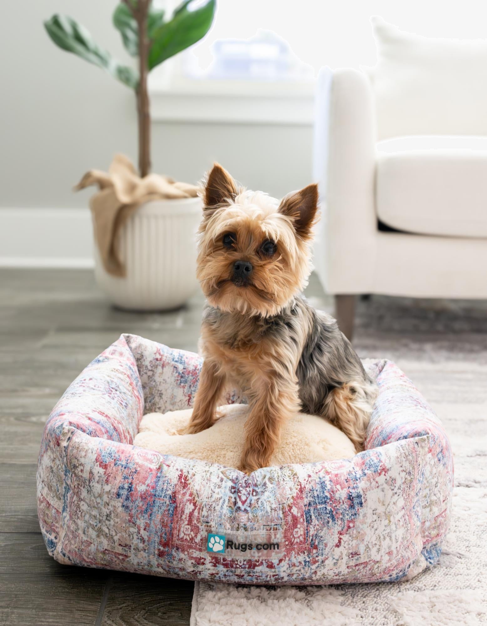 1' 4 x 1' 8 Premium Pet Bed