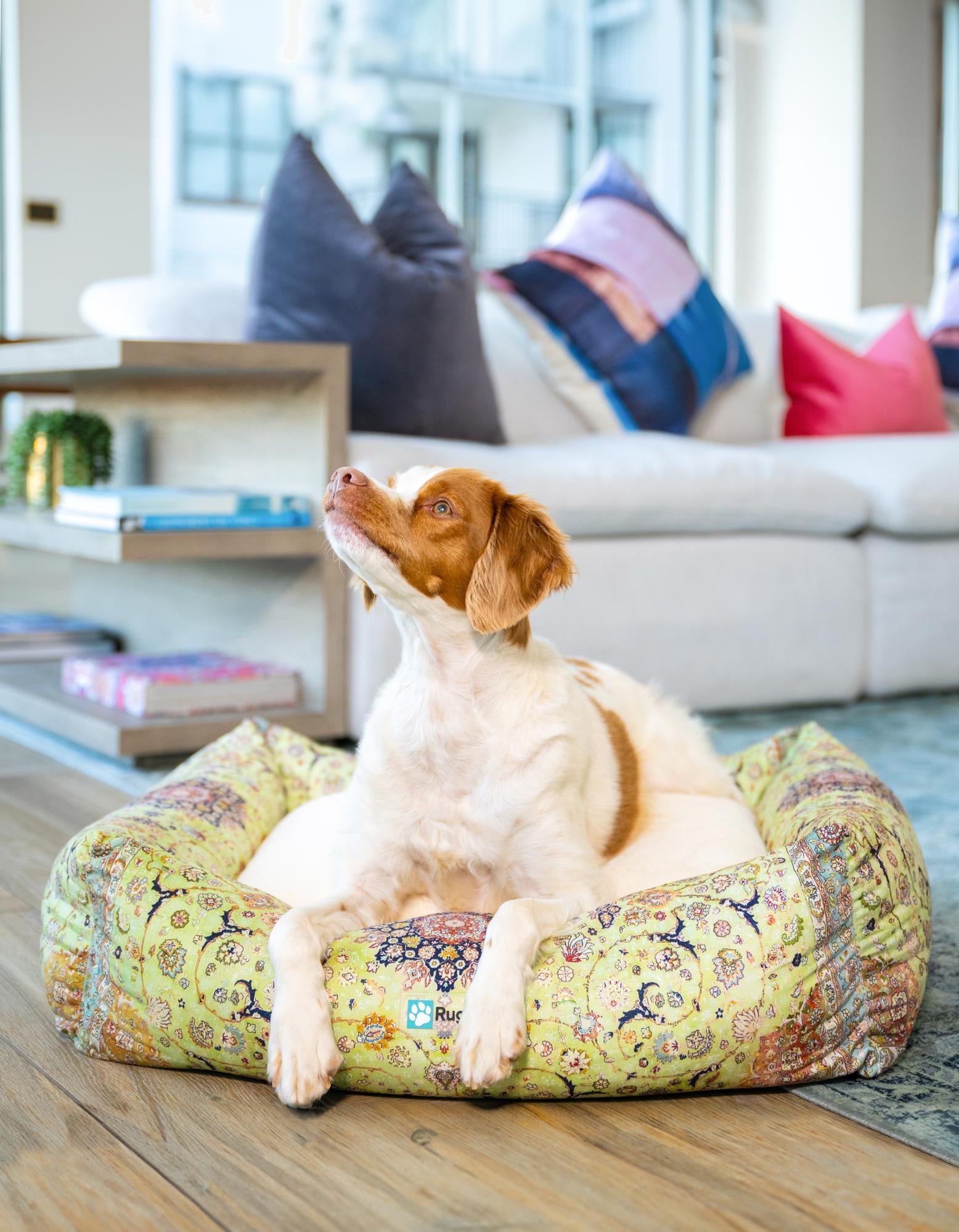  2' x 2' 4 Premium Pet Bed