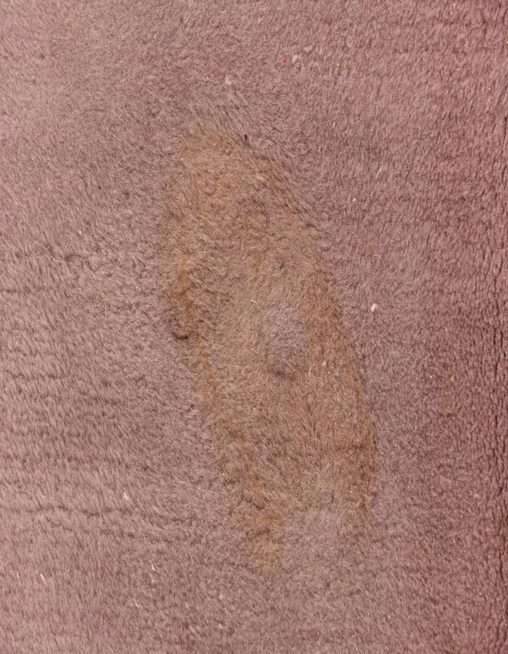 Detail image of  6' 6 x 9' 9  Hand Knotted Nepal Wool Rug