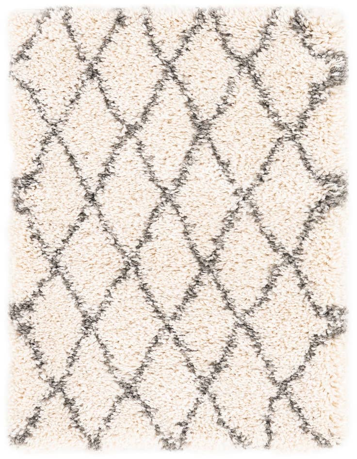 Detail image of  2' 2 x 3' Moroccan Shag Rug