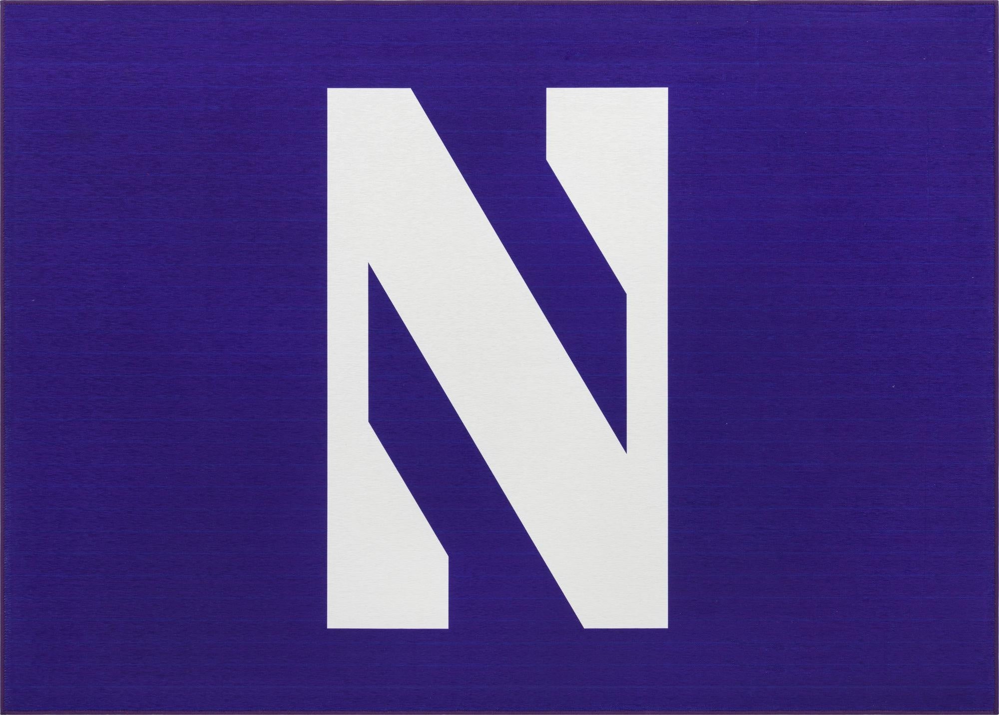  5' x 7' College Collection Rug