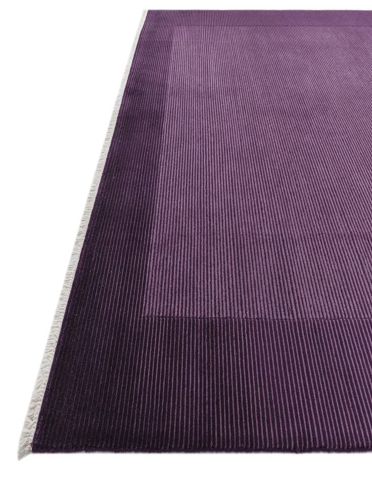 Detail image of  8' 2 x 11' 5  Hand Knotted Darya Wool Rug