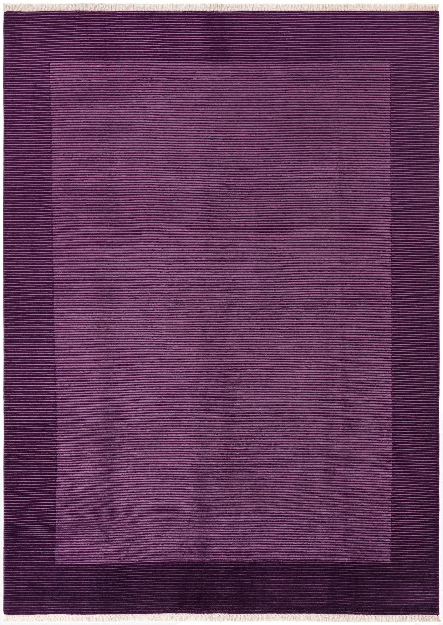  8' 2 x 11' 5  Hand Knotted Darya Wool Rug