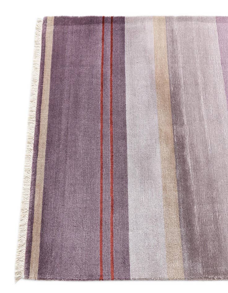 Detail image of  2' 7 x 9' 8 Darya Runner Rug