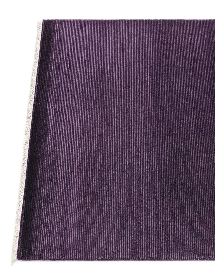 Detail image of  2' 8 x 13' 3 Darya Runner Rug