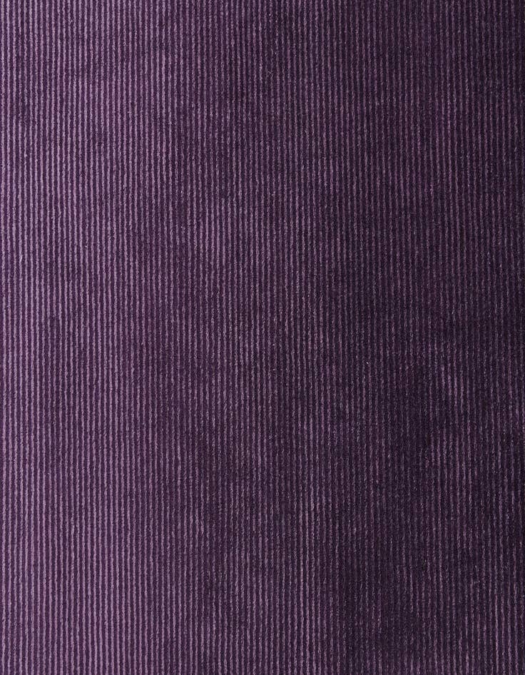 Detail image of  2' 8 x 13' 3 Darya Runner Rug