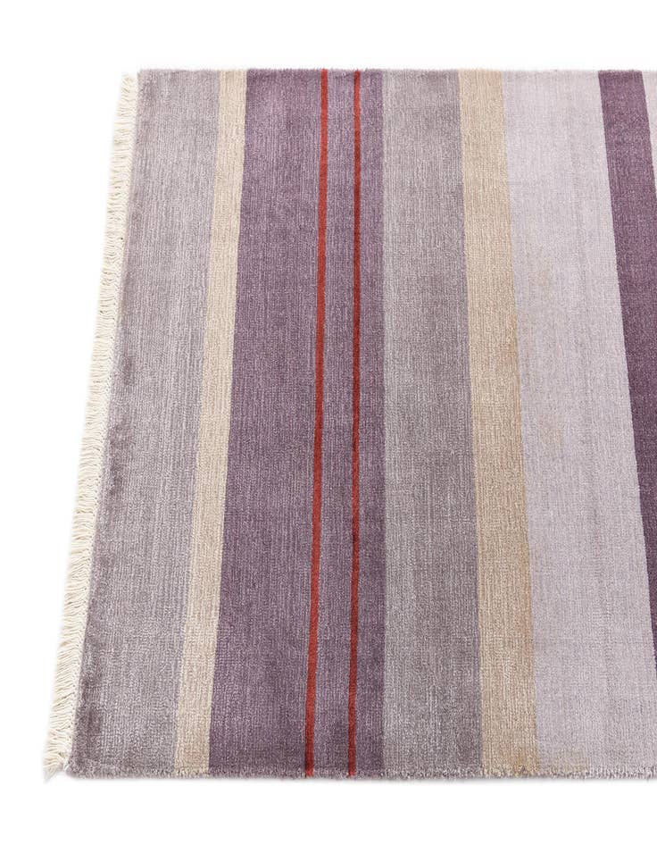 Detail image of  2' 7 x 13' 1 Darya Runner Rug