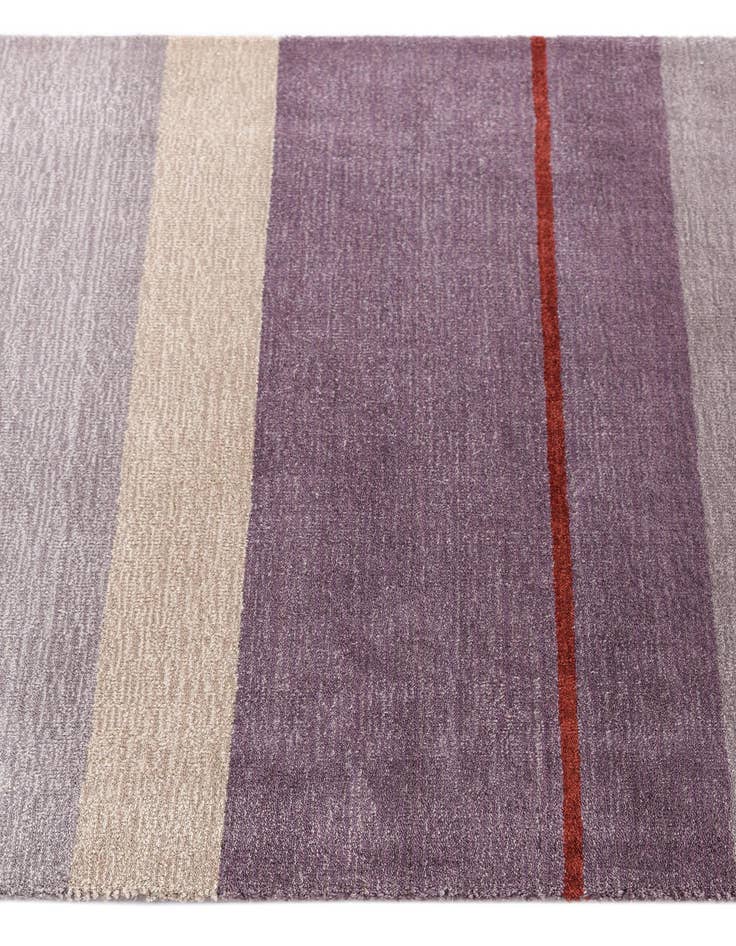 Detail image of  2' 7 x 13' 1 Darya Runner Rug