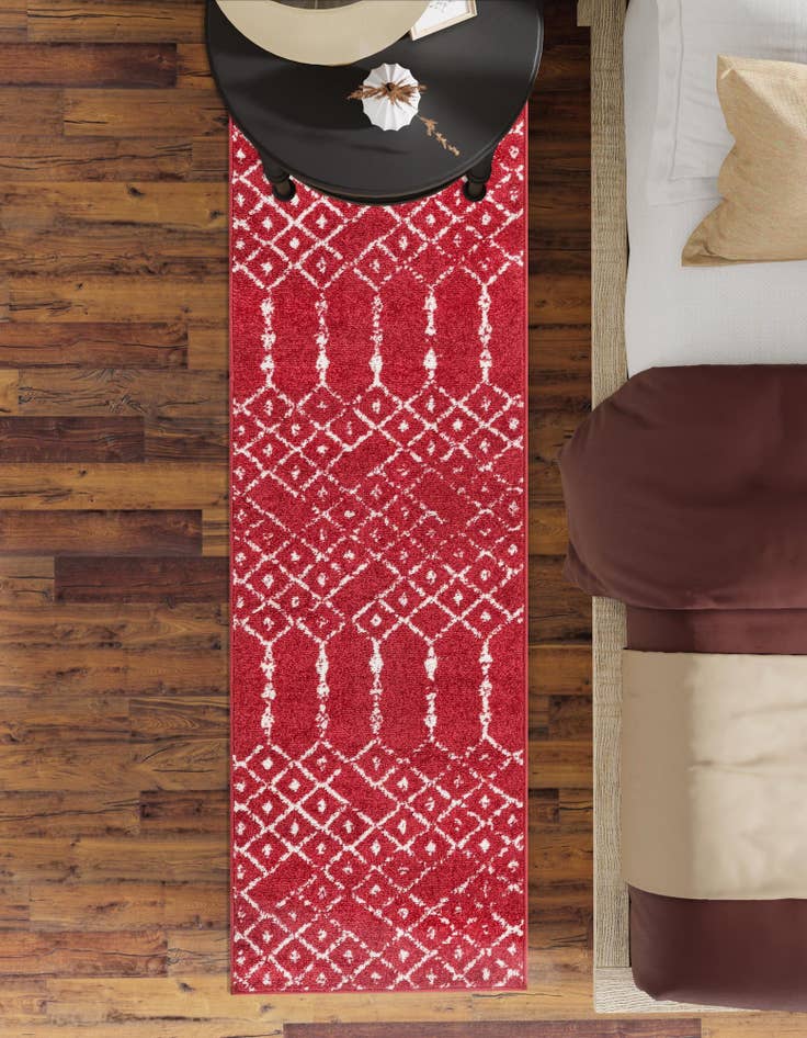 Detail image of  3' x 13' Paxon Trellis Runner Rug