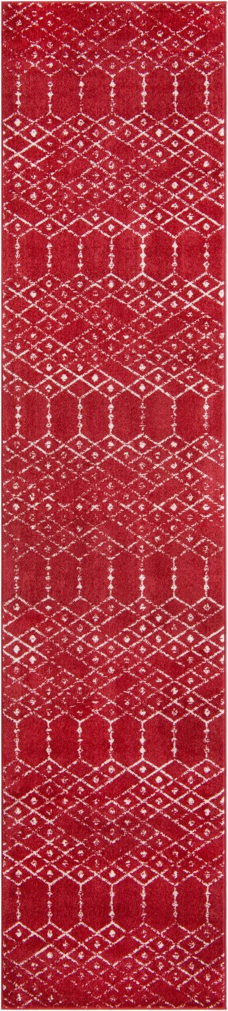  3' x 13' Paxon Trellis Runner Rug