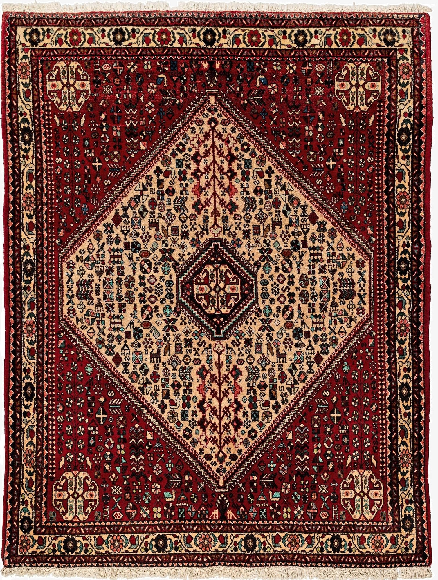  4' 9 x 6' 4 Abadeh Rug
