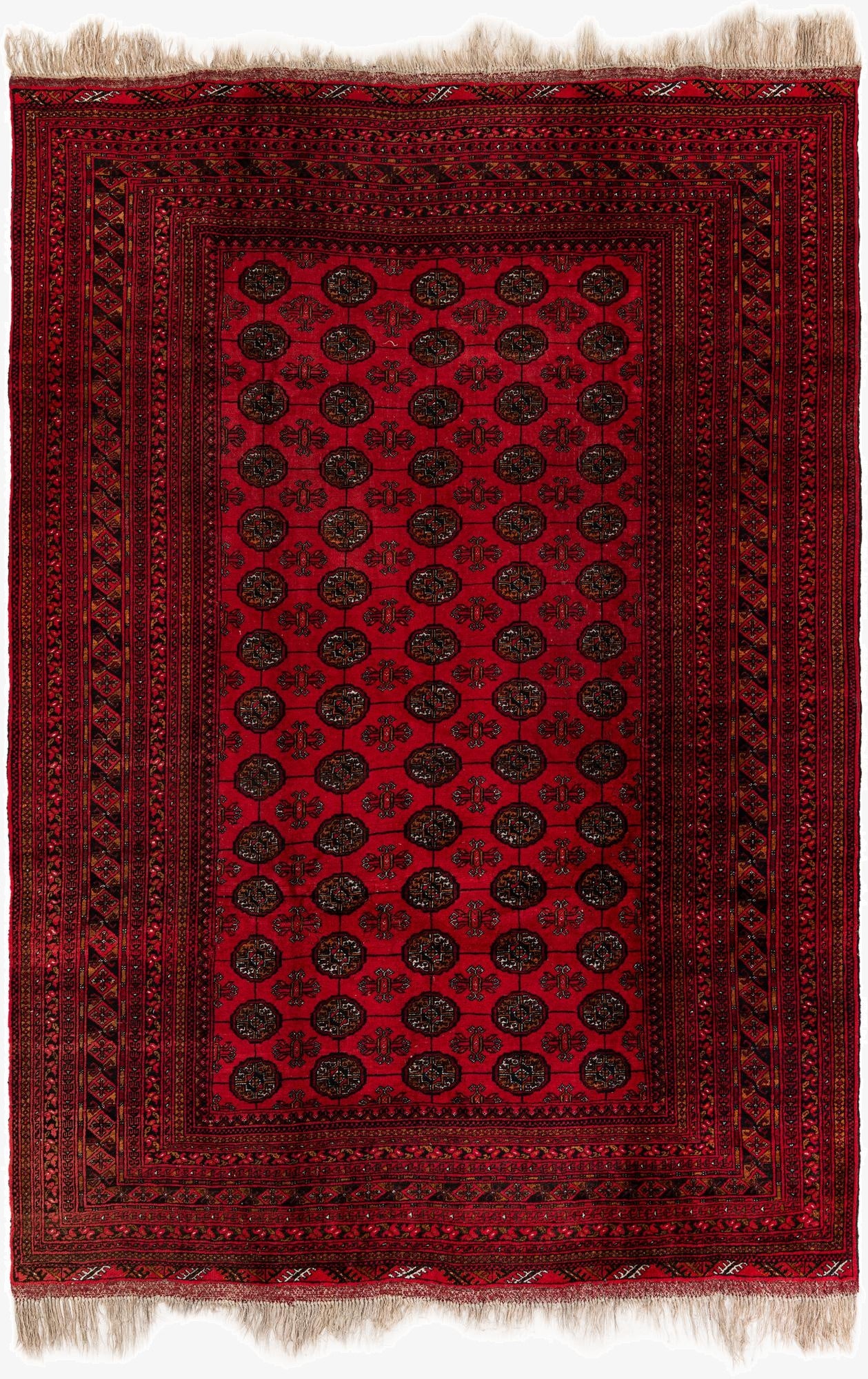  6' 8 x 9' 6  Hand Knotted Afghan Akhche Wool Rug