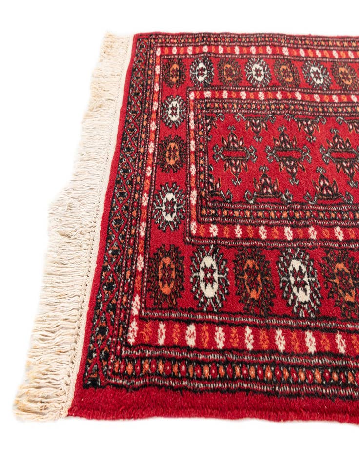 Detail image of  2' 7 x 3' 11  Hand Knotted Afghan Ersari Wool Rug