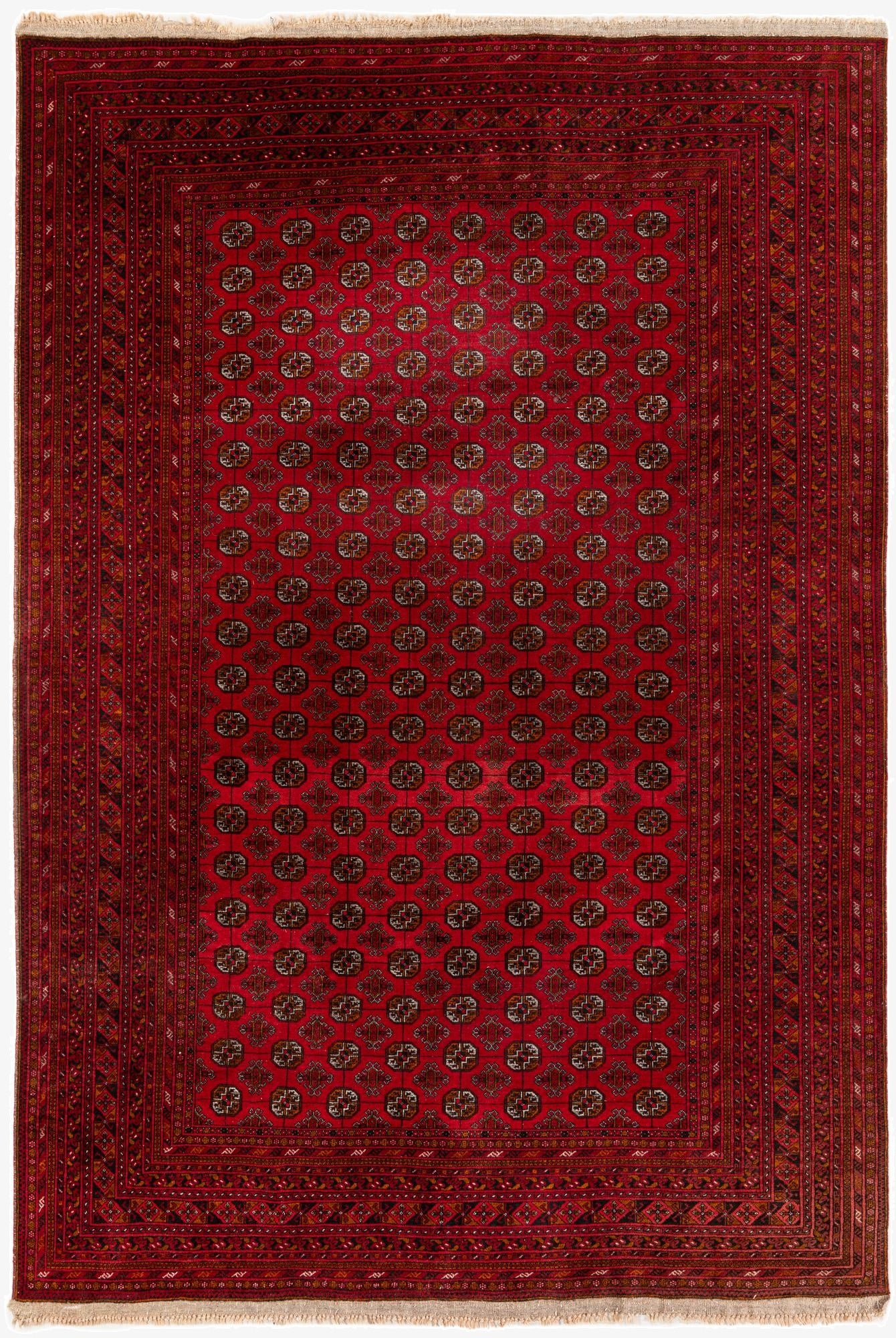  6' 7 x 9' 10  Hand Knotted Afghan Ersari Wool Rug