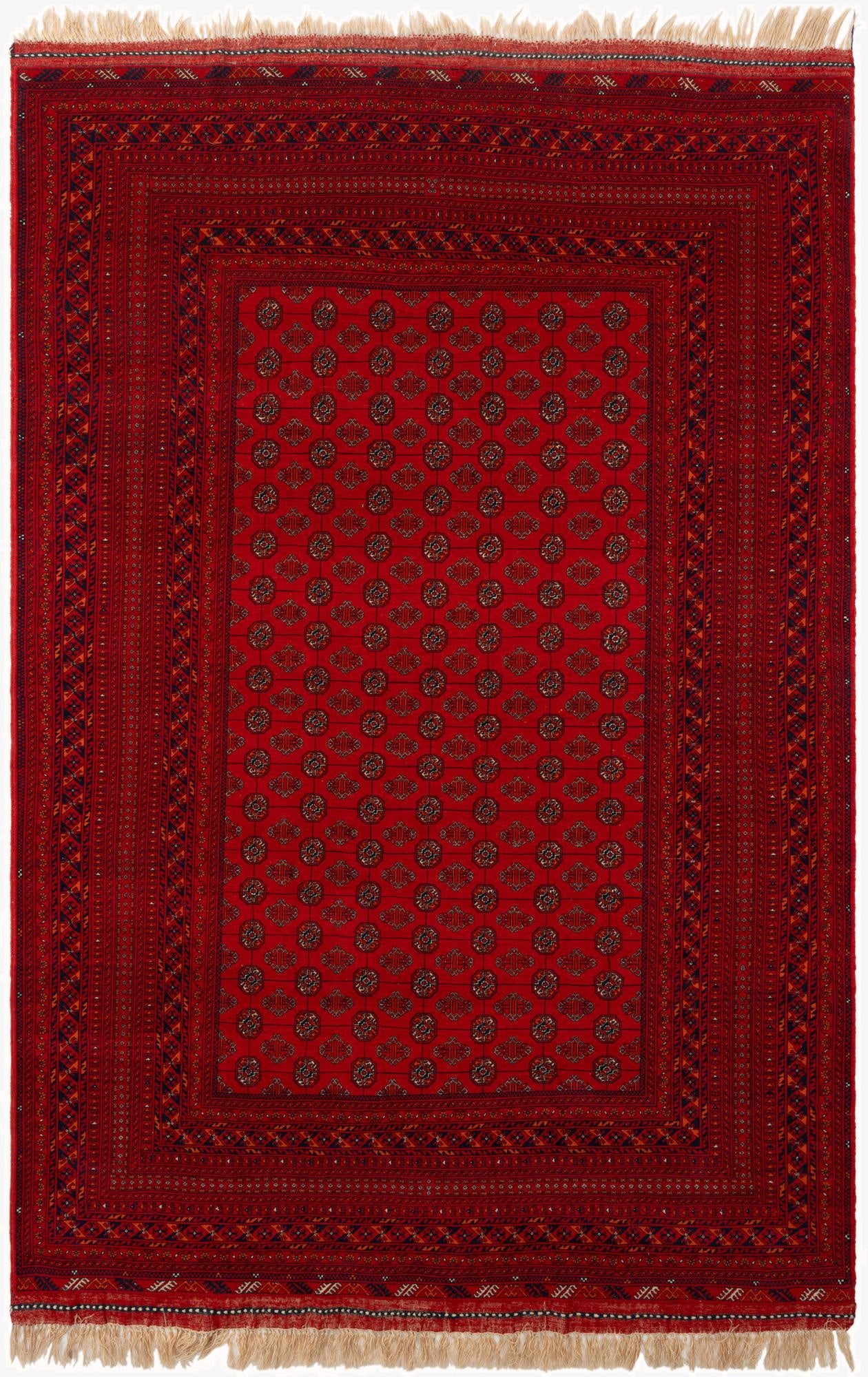  6' 7 x 10' 3  Hand Knotted Afghan Mouri Wool Rug