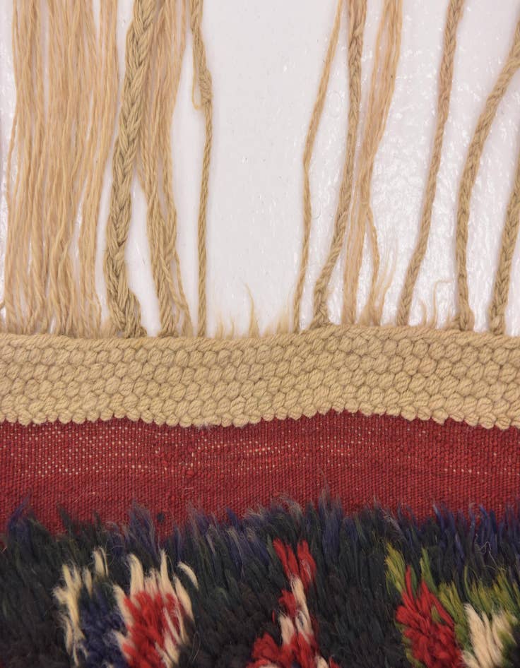 Detail image of  4' 2 x 6' 10  Hand Knotted Anatolian Wool Rug