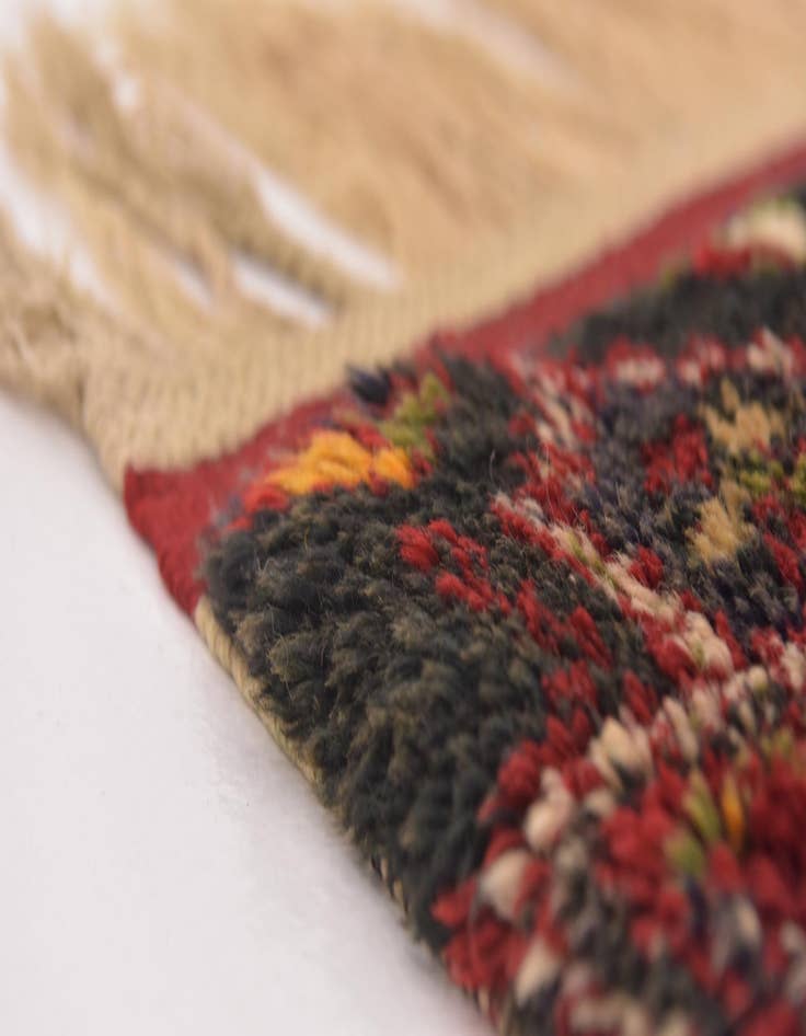 Detail image of  4' 2 x 6' 10  Hand Knotted Anatolian Wool Rug