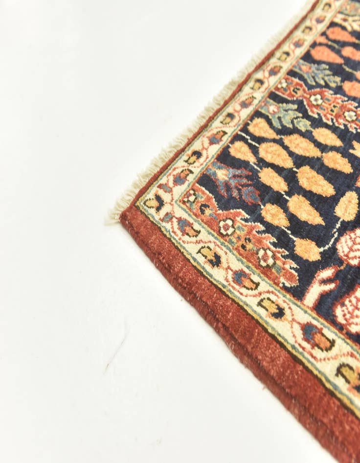 Detail image of  5' 8 x 7' 10  Hand Knotted Ariana Ziegler Rug