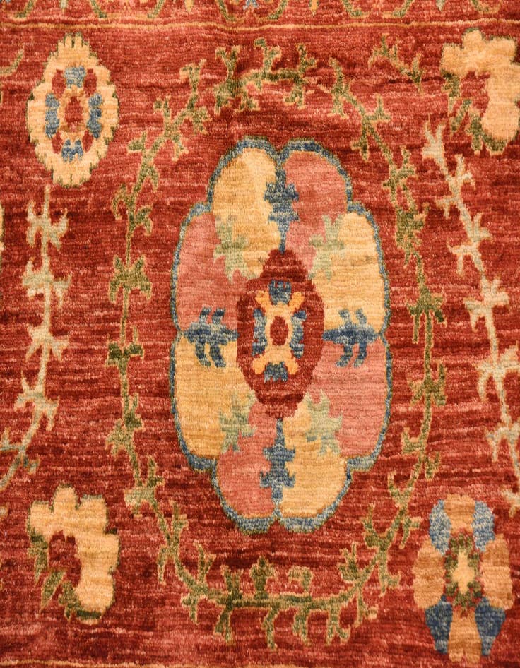 Detail image of  5' 1 x 6' 4  Hand Knotted Ariana Ziegler Oriental Rug