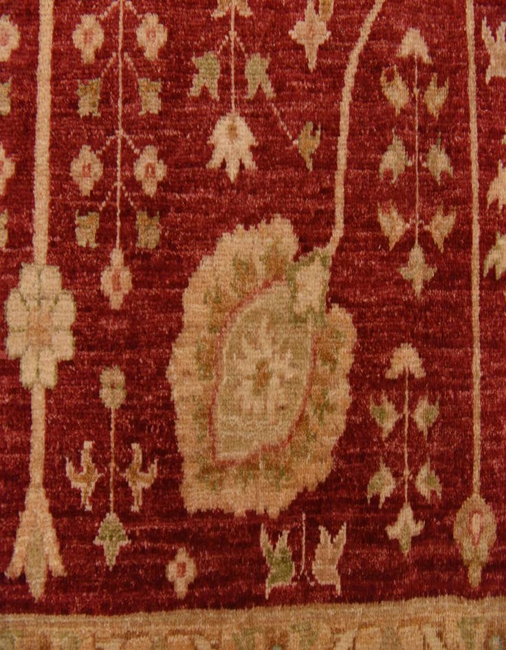 Detail image of  8' 5 x 11' 7  Hand Knotted Ariana Ziegler Rug