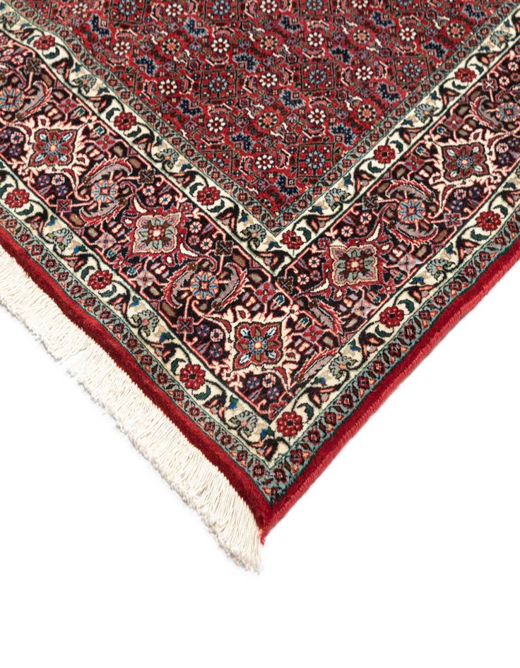 Detail image of  6' 9 x 9' 9 Bidjar Wool Rug